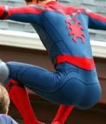 Tom Holland's Spiderman  612289632af9b.jpg