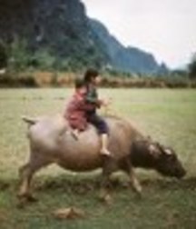 new folder 9 5e8a894996deb.jpg