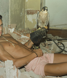 Arabia 2 twinks porn boys young tube 5e92449ac9a5f.jpg