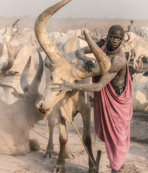 Arabia boy twink pictures gay  5eb3725673339.jpg