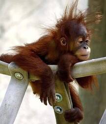 Art Boys Gay 5eb3728ab1095.jpg