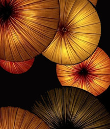 Art Boys Gay 5eb3728d228bf.jpg