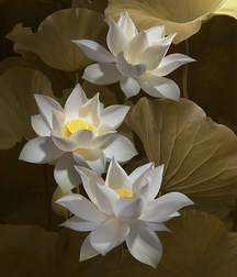 Art Boys Gay 5eb3729aa52b2.png