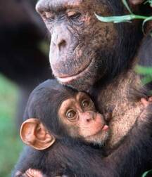 Art Boys Gay 5eb372a15b8be.jpg