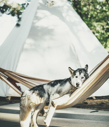 Art Boys Gay 5eb372a7f2cee.jpg