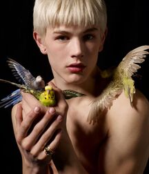 Art 2 Spike Teen Porn Boys Gay 5ec9986456f6a.jpg