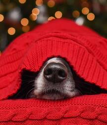 art twink porn 5eebfd0e23af2.jpg