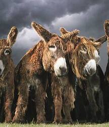 art twink porn 5eebfd19bf0b6.jpg