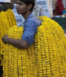 just a Saturday night gay tube 5fb9816597f80.jpg