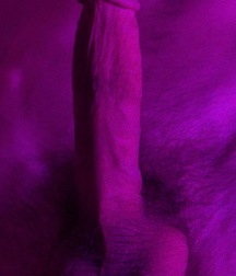 Hung Twink Samuel’s Third GBT Album! boys porn  6272c3f04da04.jpeg