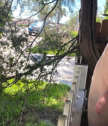 19YO Australian Exhibitionist Teen & His Plug boys porn 627b64ce57cb2.jpeg