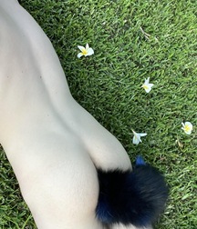19YO Australian Exhibitionist Teen & His Plug boys porn 627b64e83cddc.jpeg
