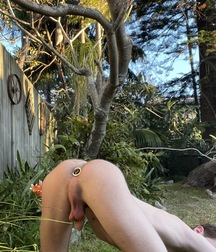 19YO Australian Exhibitionist Teen & His Plug boys porn 627b65bae6ac1.jpeg