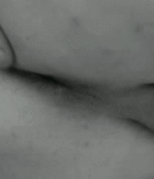 Hot Hornyboy323 5e7f58f61b891.gif