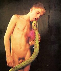 Czech Art No.4 5eac9c11e296d.jpg