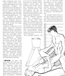Twinks XXL 13 5eac9edd807d3.jpg