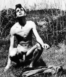 Wonderboy No. 71 5eb0c0ce773d6.jpg