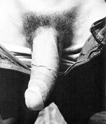 Pocket Boy No. 2 5eb4b88d4dd41.jpg