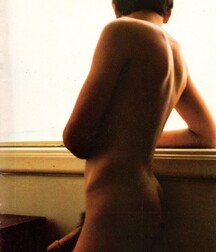 Selection No. 8 5efe7d1f28e37.jpg
