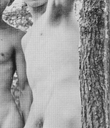 Selection No. 16 vintage boys porn 5f1b7ae0239ba.jpg