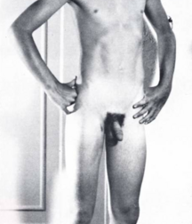 Revistas Gay Porn Collections from Mags 2 5f7ba7ea3f745.png