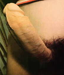 Revistas Gay Porn Collections from Mags 2 5f7ba8a7ecc35.jpg