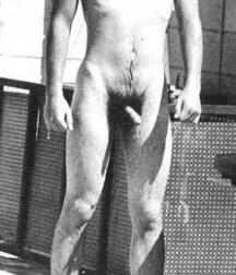 Boys Porn Maglover`s Netsmurf Vintage Twinks Nr.1  5f89c4e3ea34c.jpg
