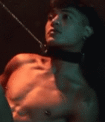 Gay Tube Collection of horny boys porn 3 5ef36e473410b.gif