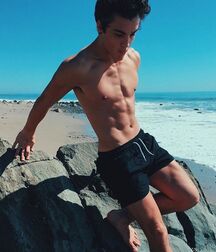 New Week New Hotties Gay Twinking Porn 61363fbabb79c.jpg