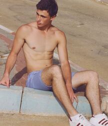 Summer Solstice Gay Twink Tube Porn 62b16137028c7.jpg