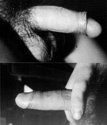 Chicos grandes con pollas grandes 5ea84871478f9.jpg