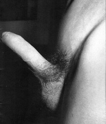 Dream Boy`s 5eb03c93410f2.jpg