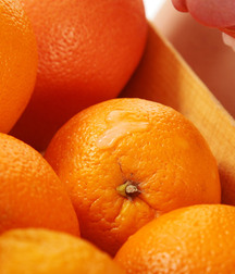 Algis and Oranges Boys Porn 5ff0d01770902.jpg