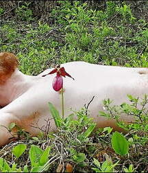MENINOS DO MUNDO na natureza 5ed82dc968813.jpg