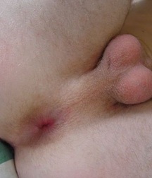 NG 20 Boys Ass Porn 5eba47cd400ff.jpg