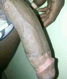 black guys well-endowed gay twinks tube porn 5ec9290a03694.jpeg