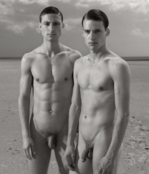 Coffee Table Art Boys Porn 5f6cd5b387b73.jpg