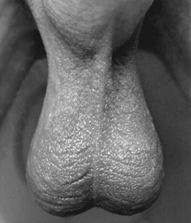 Art boys - best of art twinks porn 5f72535bab6bd.jpg