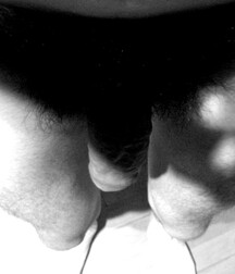 series black - finest twinks porn 5f7a28561f3ff.jpg