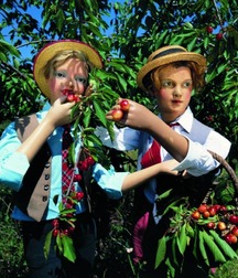 Gay tube art boys porn