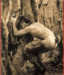 mix album gay tube 5f82ee5deb835.jpg