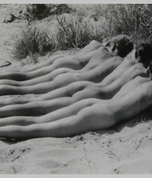 Summer Special Gay Tube 5fc7c67734637.jpg