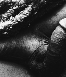 art style nude cocks boys porn 62212c468b919.jpg