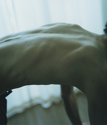 Hand Selected Twink Tube Boys 62a7a679143cc.jpg