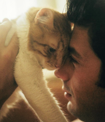 Wonder Twink Porn Tube Top Selected Art Great 62d1df8f06a87.png