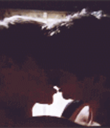 Wonder Twink Porn Tube Top Selected Art Great 62d1dfd7dc566.gif