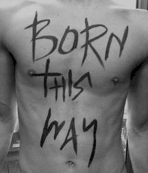 Perfect Collection Twink Tube Boys Art