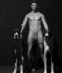 Wonder Guys Art Perfect Twinks 62ec2d7ada24a.jpg