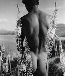 identified ART GAYS TWINK TUBE GREAT  62ed8870c3226.jpg