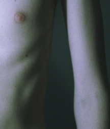 Wonder Select Twink Images Tube Sexy Absolute 62f416ef3546a.jpg